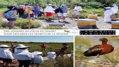 Une journée au cœur du vivant pour explorer les secrets de la Réserve !